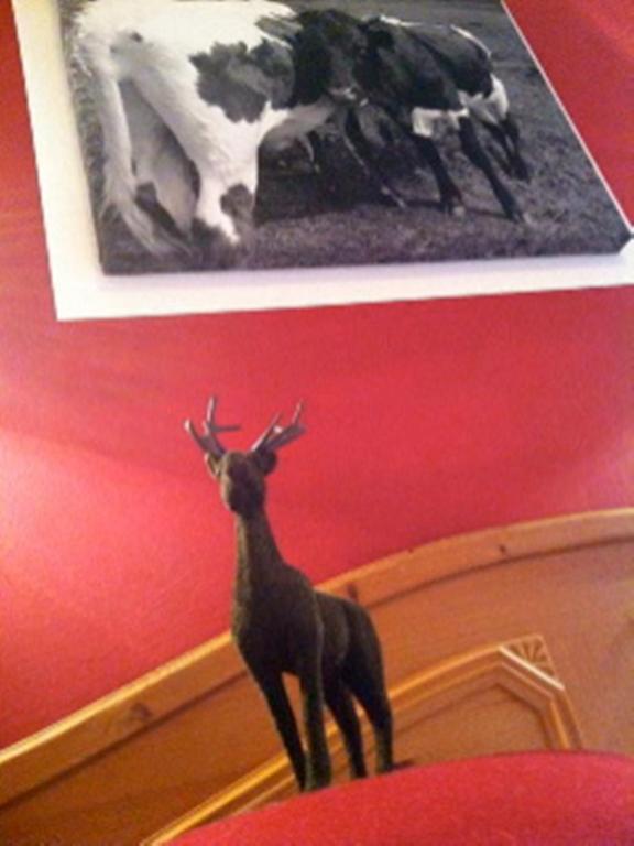 Hotel Gamshof 3*